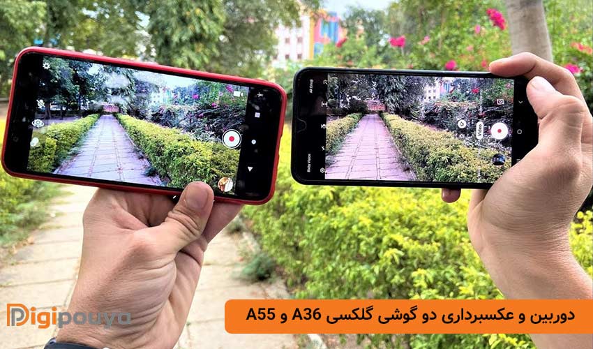 دوربین و قابلیت های عکاسی دو گوشی گلکسی A36 و A55