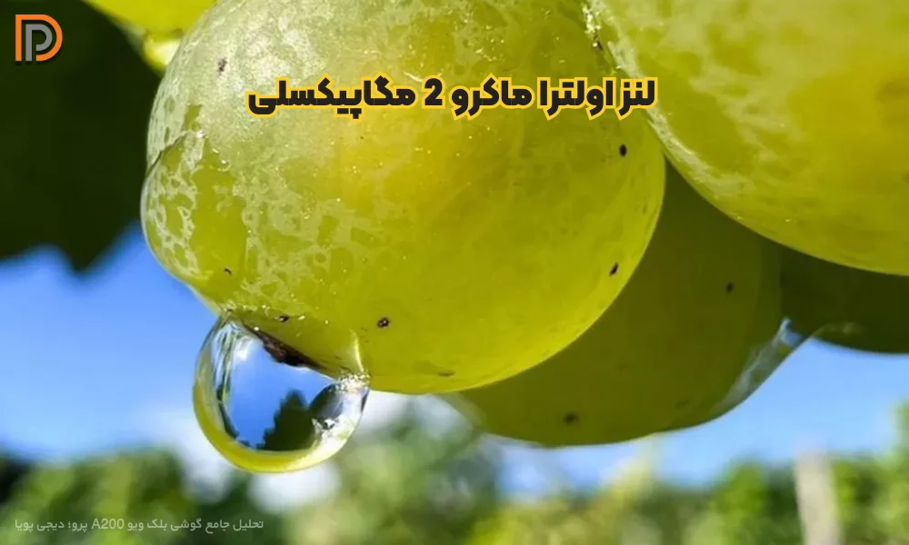 نمونه عکس اولترا ماکرو با دوربین گوشی ای 200 پرو