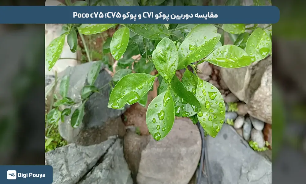 مقایسه دوربین پوکو C۷۱ و پوکو C۷۵؛ قدرت ثبت جزئیات در دوربین پوکو c75